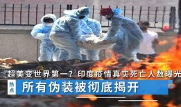 国外疫情最新爆料印度,最新爆料揭示严峻形势