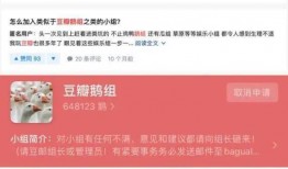 吃瓜视频免费2020,2020年度吃瓜视频免费盛宴大盘点